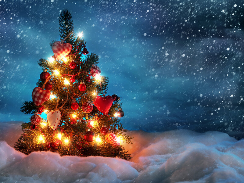 Decorated Christmas Tree — Blue, Festive, Winter, Photograph