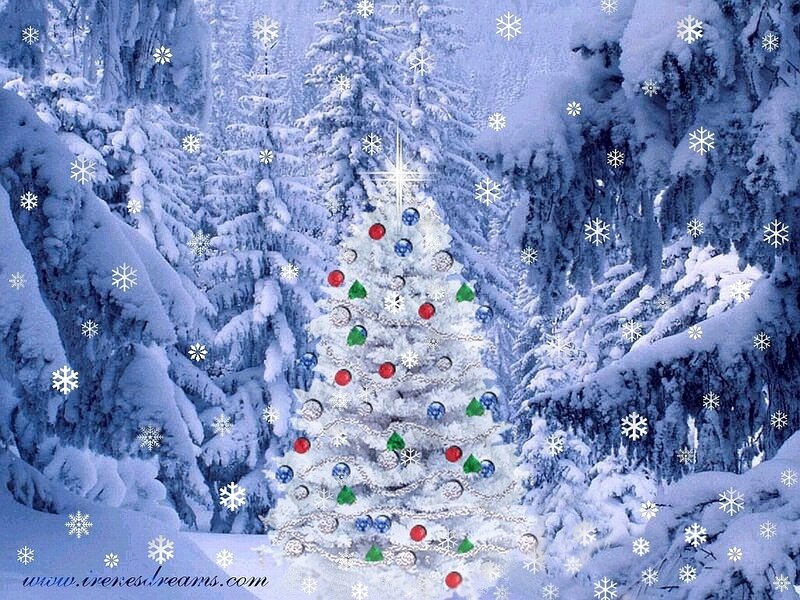 Decorated Christmas Tree — Blue, Festive, Winter