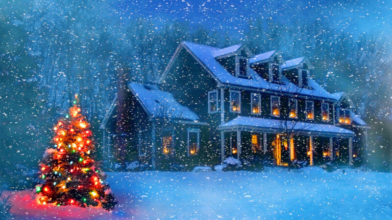 Decorated Christmas Tree — Blue, Peaceful, Night, Photograph