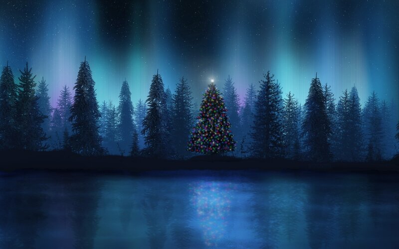 Decorated Christmas Tree — Blue, Serene, Night, Digital Art, Forest, Aurora Borealis, Lake