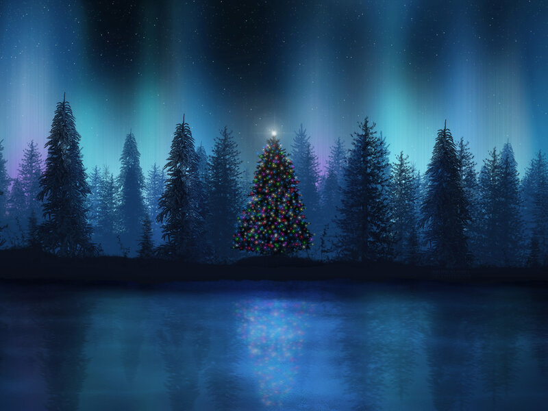 Decorated Christmas Tree — Blue, Serene, Night, Digital Art, Forest
