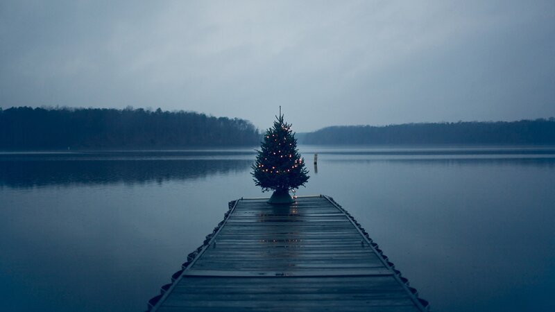 Decorated Christmas Tree — Blue, Serene, Night, Photograph, Dock