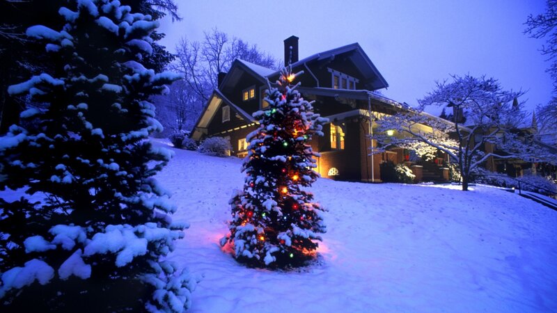 Decorated Christmas Tree — Blue, Serene, Night, Photograph, Snow-covered House