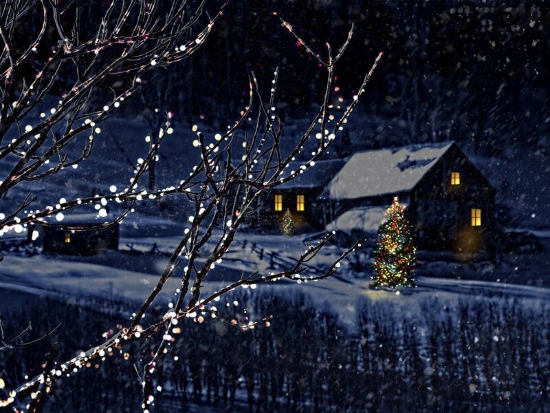 Decorated Christmas Tree — Blue, Serene, Night, Photograph, Snowy Landscape