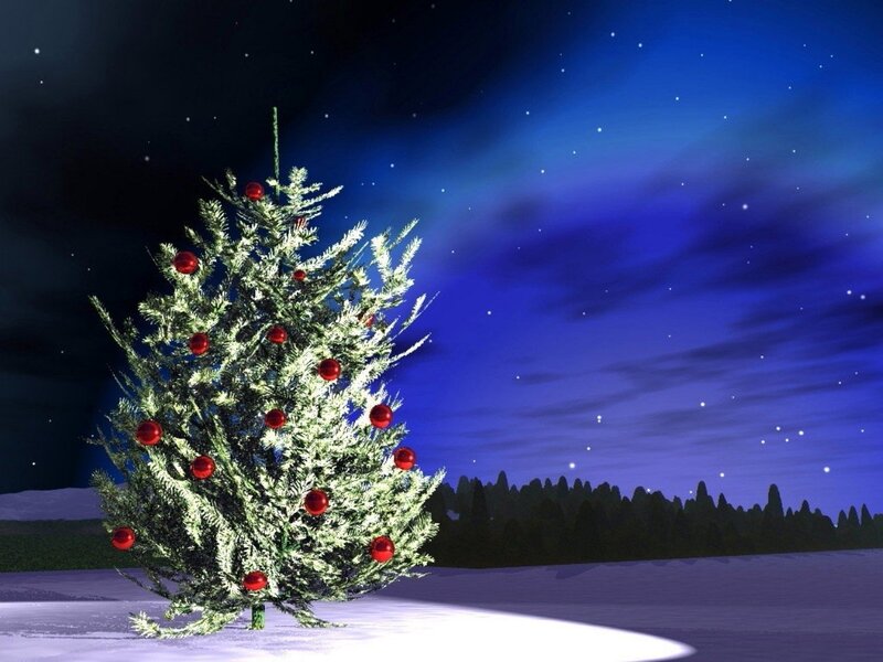 Decorated Christmas Tree — Blue, Serene, Night