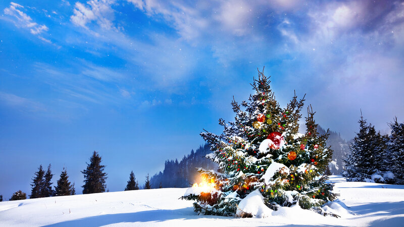Decorated Christmas Tree — Blue, Serene, Winter, Photograph, Snow, Mountains, Sky
