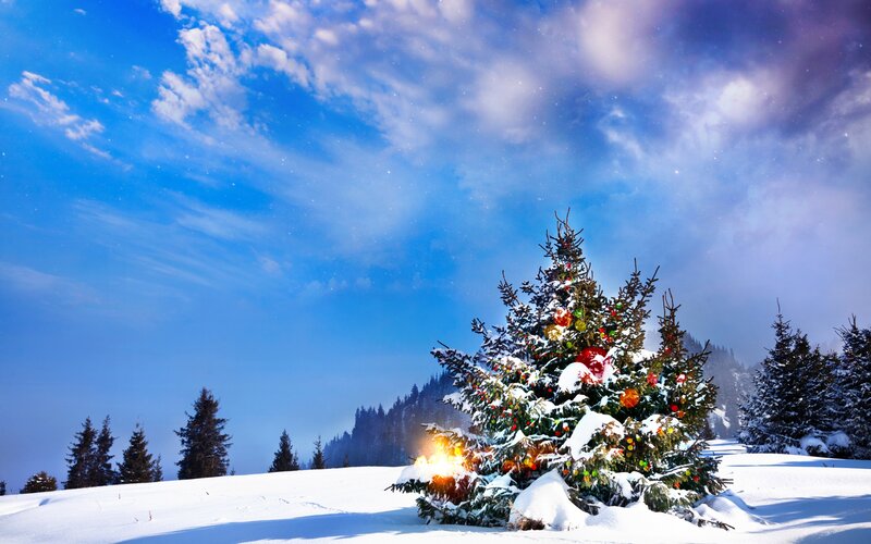 Decorated Christmas Tree — Blue, Serene, Winter, Photograph, Snow