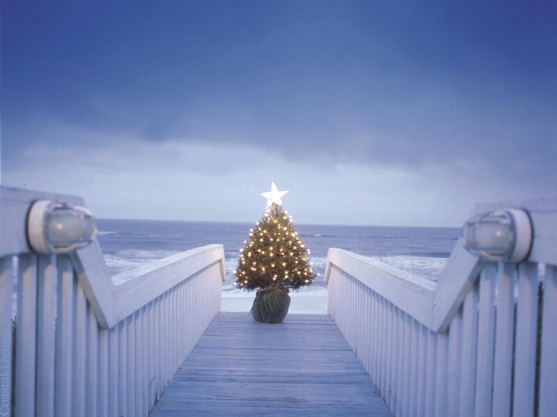 Decorated Christmas Tree — Blue, Serene, Winter