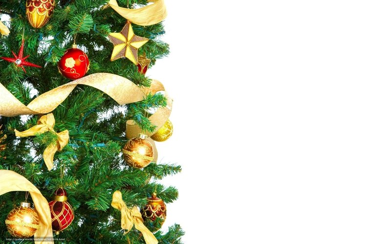 decorated christmas tree corner