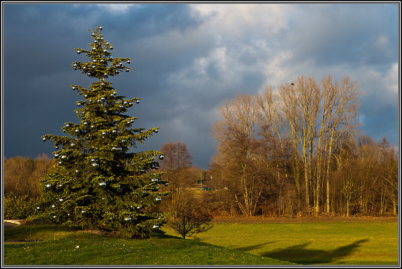 Decorated Christmas Tree — Green, Dramatic