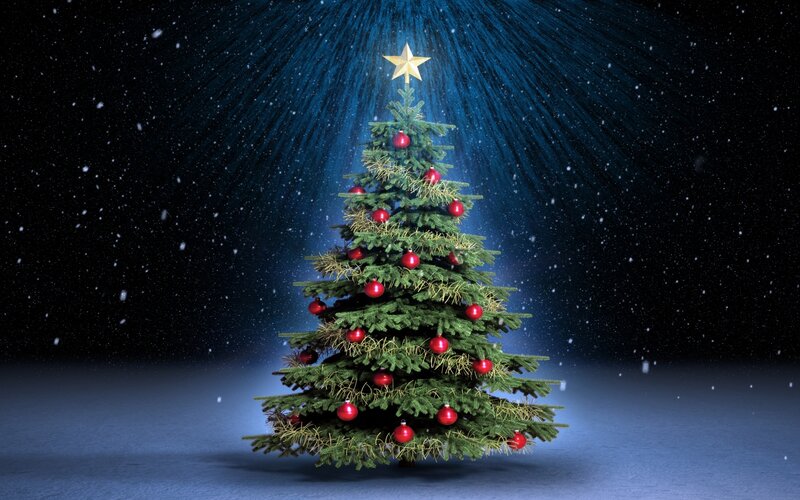 Decorated Christmas Tree — Green, Festive, Night, 3d Render, Star