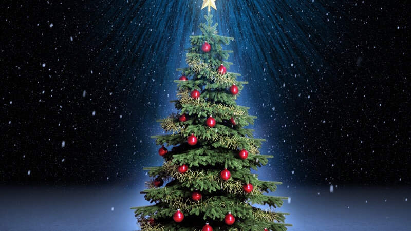 Decorated Christmas Tree — Green, Festive, Night, 3d Render