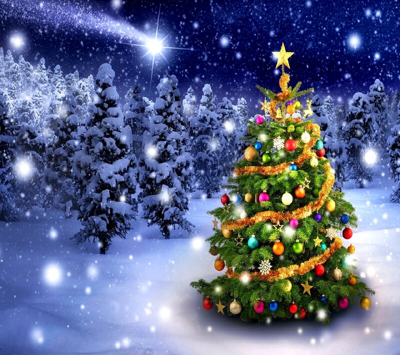 Decorated Christmas Tree — Green, Festive, Night, Digital Art, Snowy Forest, Star