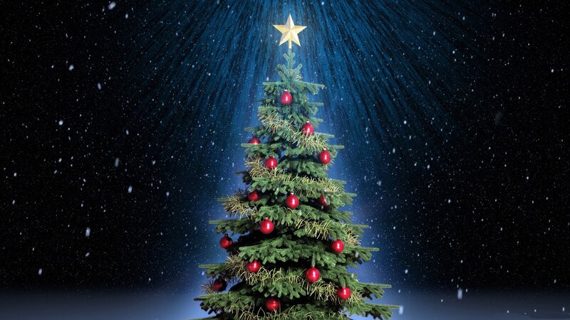 Decorated Christmas Tree — Green, Festive, Night, Digital Art, Star, Ornaments, Snow