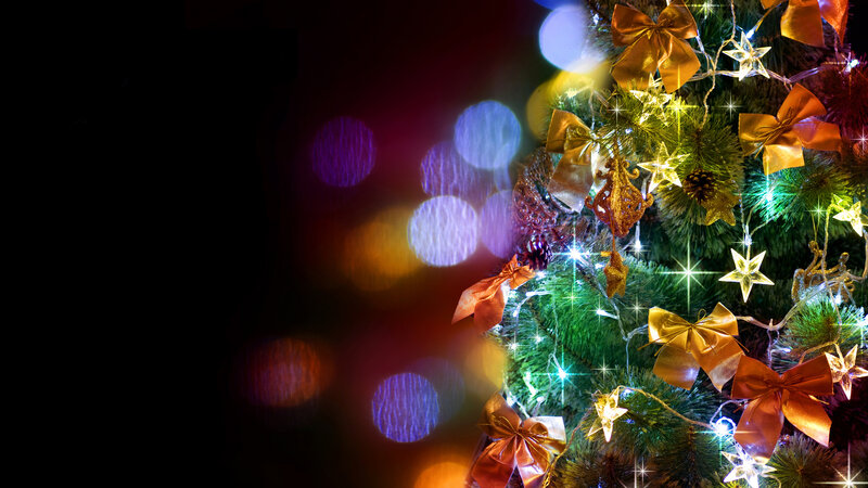 Decorated Christmas Tree — Green, Festive, Night, Photograph, Bows, Stars