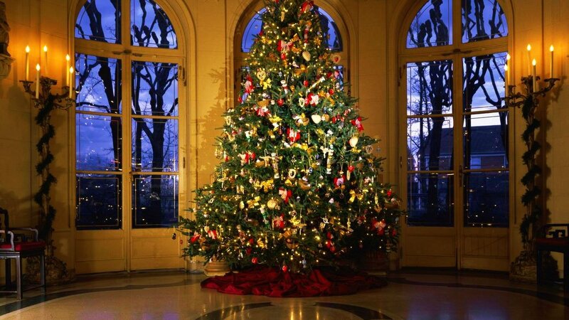 Decorated Christmas Tree — Green, Festive, Night, Photograph, Candelabras, Windows, Red Fabric