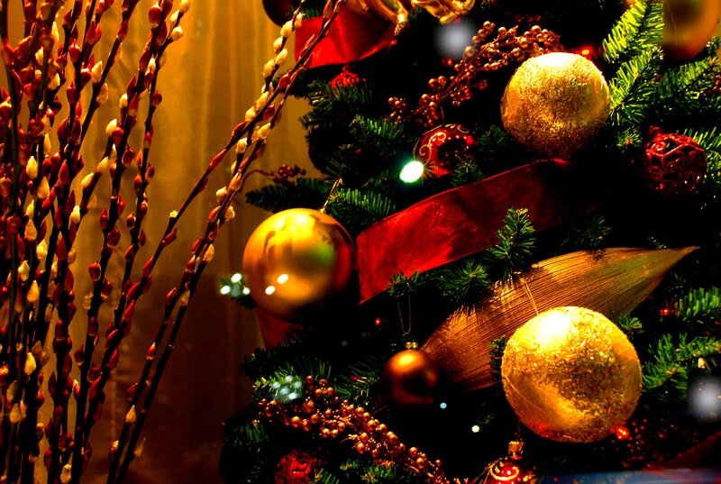 Decorated Christmas Tree — Green, Festive, Night, Photograph, Gold Ornaments
