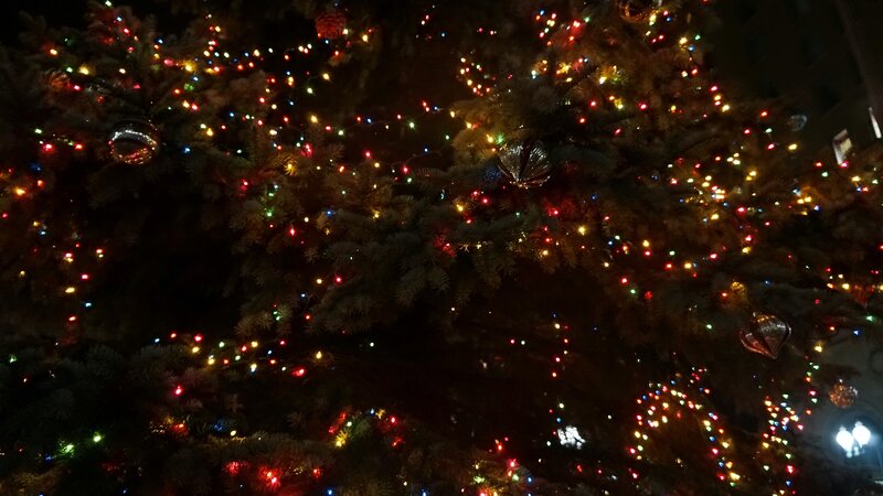 Decorated Christmas Tree — Green, Festive, Night, Photograph, Lights, Ornaments, Branches
