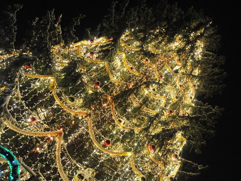 Decorated Christmas Tree — Green, Festive, Night, Photograph, Lights, Ornaments, Snow