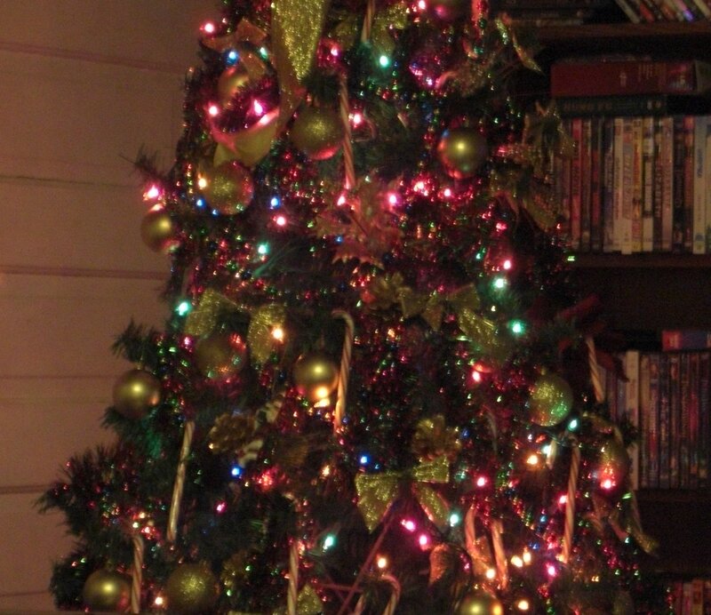 Decorated Christmas Tree — Green, Festive, Night, Photograph, Lights, Ornaments