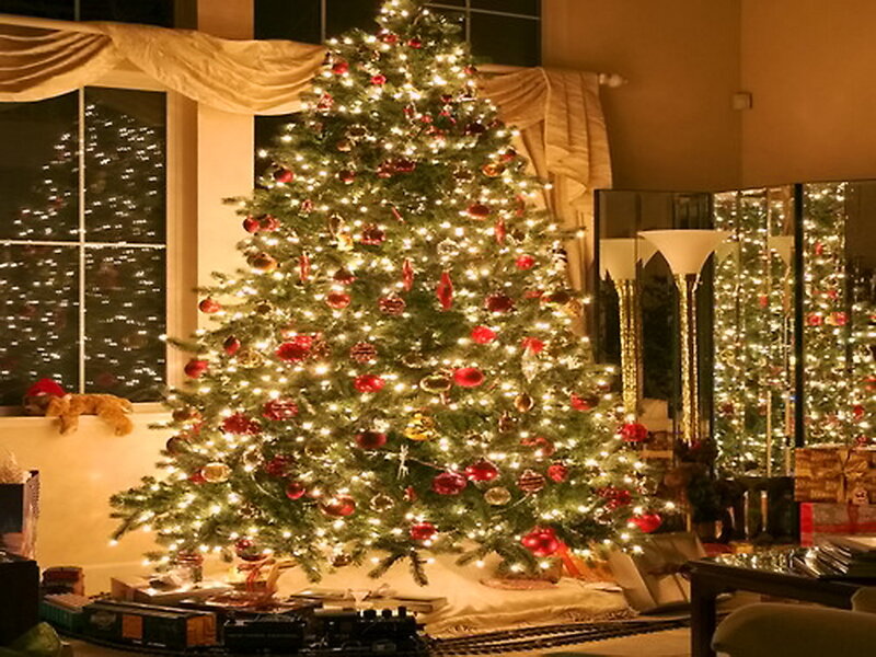 Decorated Christmas Tree — Green, Festive, Night, Photograph, Lights, Ornaments, Window