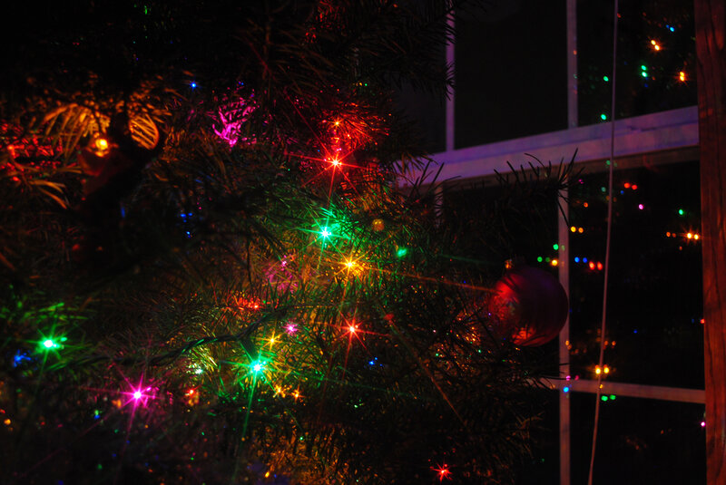 Decorated Christmas Tree — Green, Festive, Night, Photograph, Lights