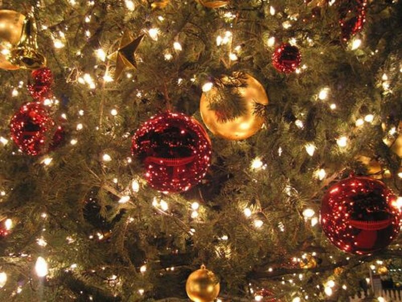 Decorated Christmas Tree — Green, Festive, Night, Photograph, Ornaments, Lights, Branches