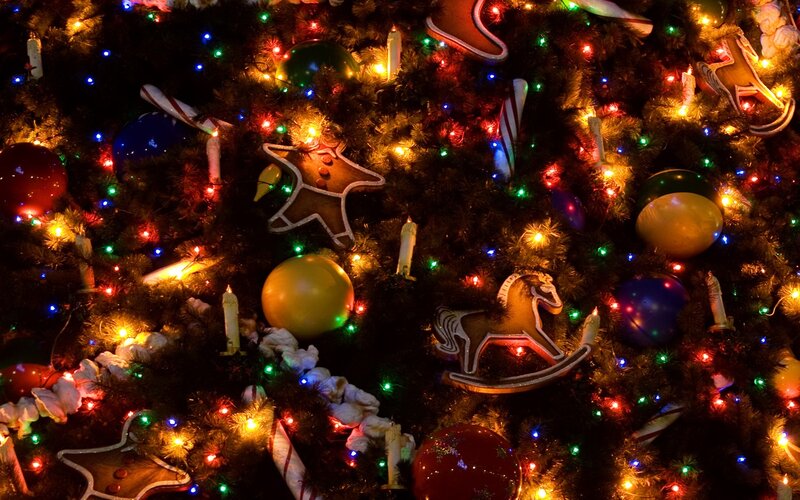 Decorated Christmas Tree — Green, Festive, Night, Photograph, Ornaments, Lights, Candy Canes