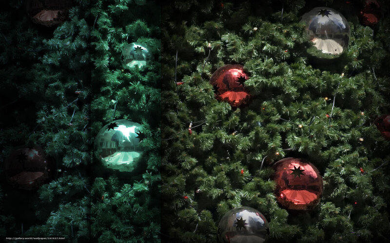 Decorated Christmas Tree — Green, Festive, Night, Photograph, Ornaments, Lights, Greenery