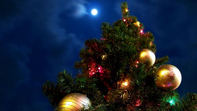 Decorated Christmas Tree — Green, Festive, Night, Photograph, Ornaments, Lights, Moon