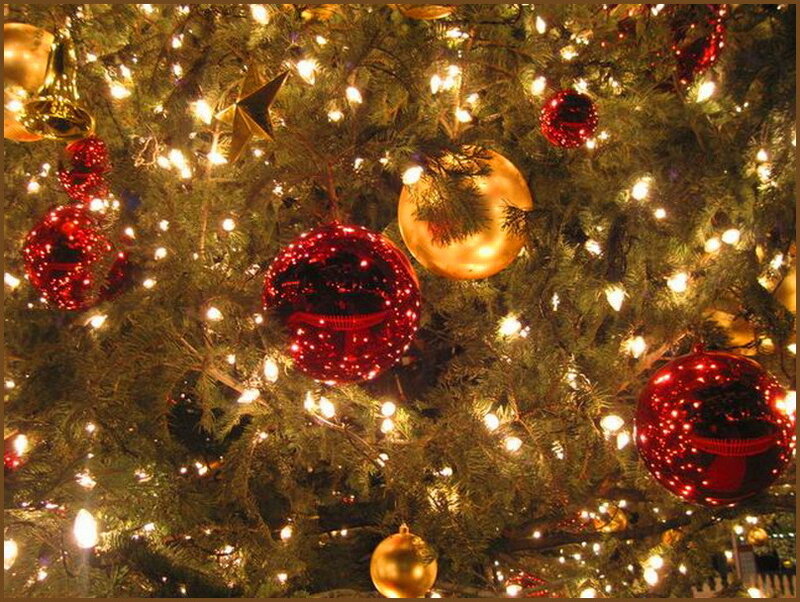 Decorated Christmas Tree — Green, Festive, Night, Photograph, Ornaments, Lights, Pine Needles