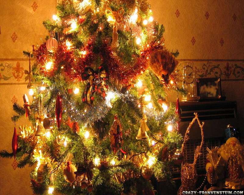 Decorated Christmas Tree — Green, Festive, Night, Photograph, Ornaments, Lights