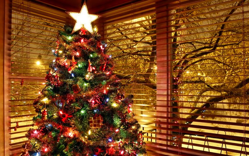 Decorated Christmas Tree — Green, Festive, Night, Photograph, Star Ornament