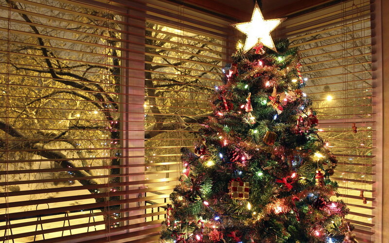 Decorated Christmas Tree — Green, Festive, Night, Photograph, Window Blinds