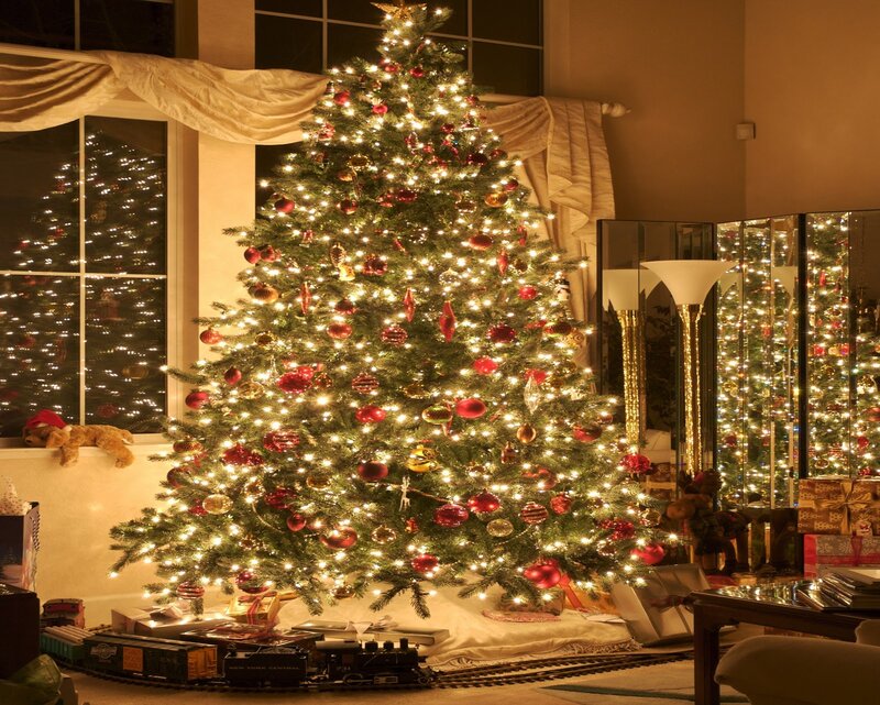 Decorated Christmas Tree — Green, Festive, Night, Photograph, Window