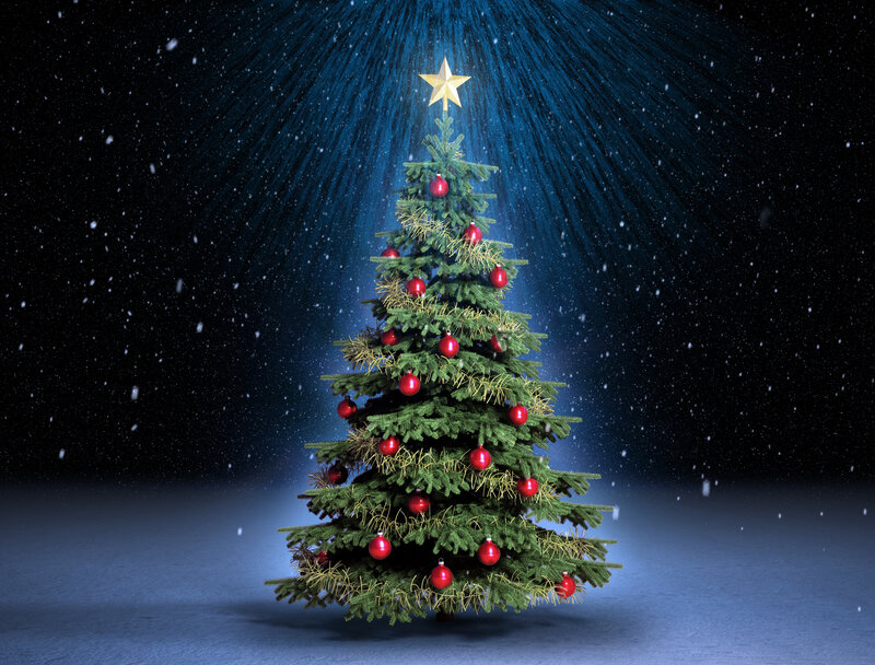 Decorated Christmas Tree — Green, Festive, Night