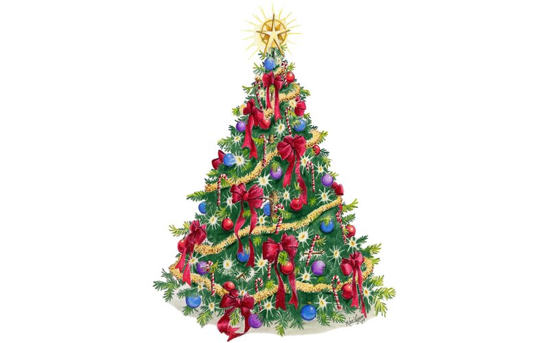 Decorated Christmas Tree — Green, Festive, Winter, Illustration, Star