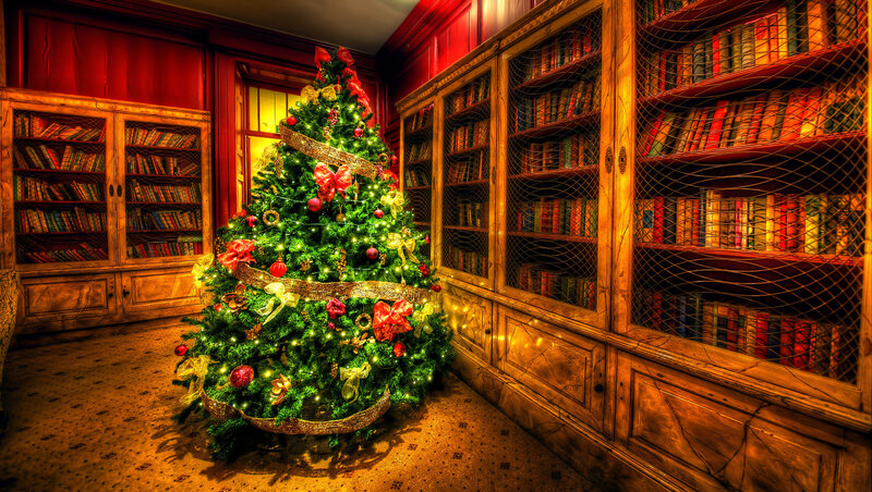 Decorated Christmas Tree — Green, Festive, Winter, Photograph, Bookshelves