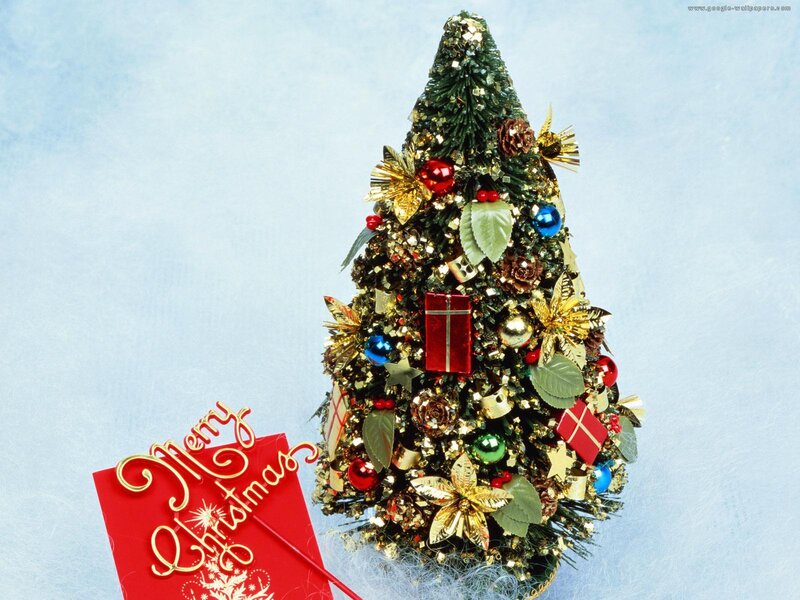 Decorated Christmas Tree — Green, Festive, Winter, Photograph, Gift Box