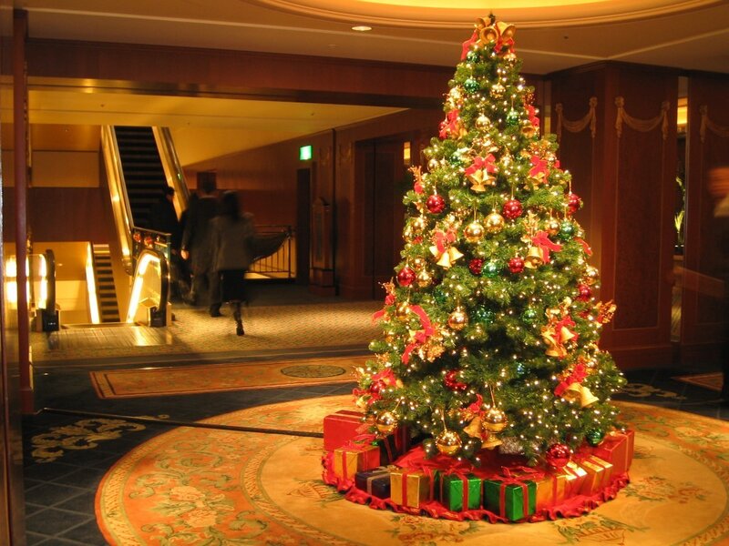Decorated Christmas Tree — Green, Festive, Winter, Photograph, Gifts, Elevator