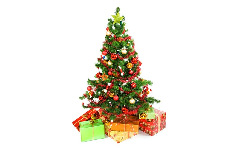 Decorated Christmas Tree — Green, Festive, Winter, Photograph, Gifts