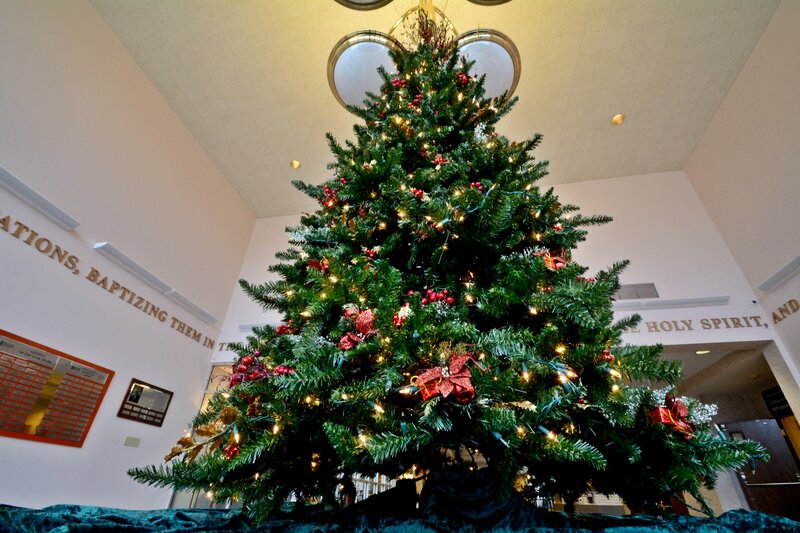 Decorated Christmas Tree — Green, Festive, Winter, Photograph, Lights, Ornaments