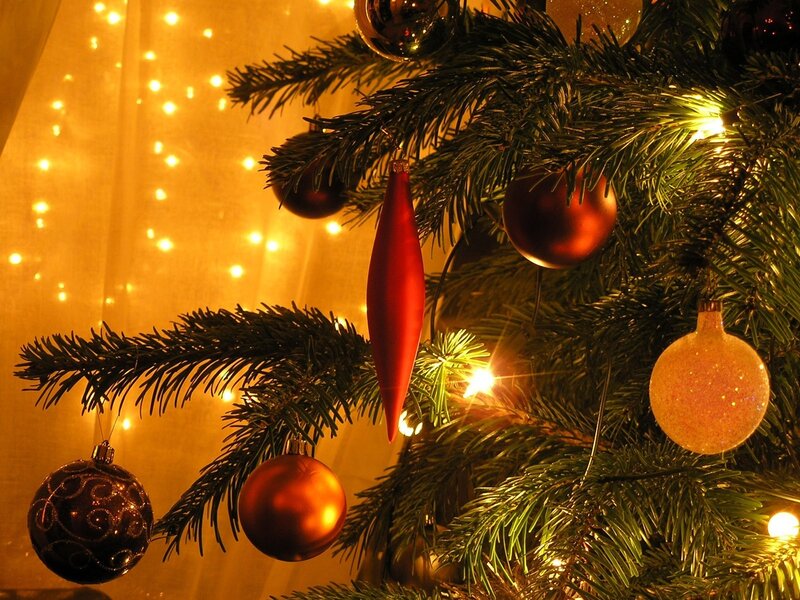 Decorated Christmas Tree — Green, Festive, Winter, Photograph, Ornaments, Lights, Branches, Red