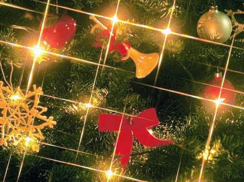 Decorated Christmas Tree — Green, Festive, Winter, Photograph, Ornaments, Lights, Snowflake