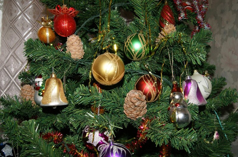 Decorated Christmas Tree — Green, Festive, Winter, Photograph, Ornaments, Pinecones