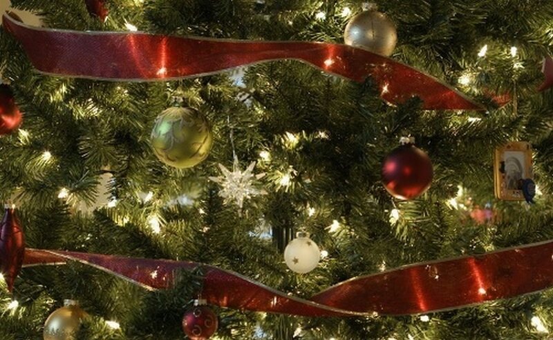 Decorated Christmas Tree — Green, Festive, Winter, Photograph, Ornaments, Ribbons, Lights, Red
