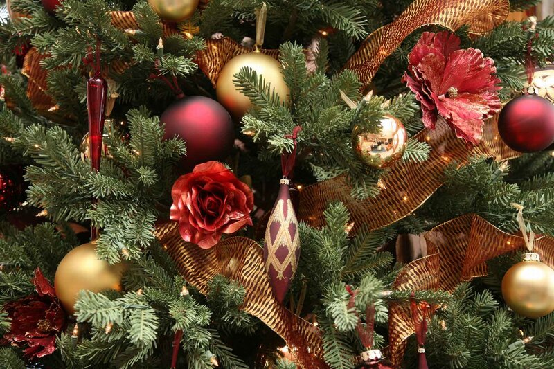 Decorated Christmas Tree — Green, Festive, Winter, Photograph, Ornaments, Ribbons