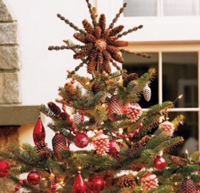Decorated Christmas Tree — Green, Festive, Winter, Photograph, Pinecones