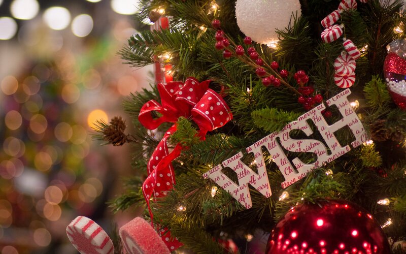 Decorated Christmas Tree — Green, Festive, Winter, Photograph, Red Bow, Ornaments, Pine Cones