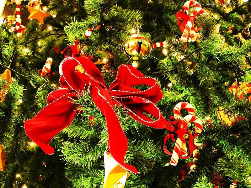 Decorated Christmas Tree — Green, Festive, Winter, Photograph, Red Bow